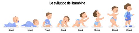 illustrazione schematica dello sviluppo nutrizionale del bambino dai 0 ai 24 mesi