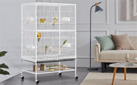 Gabbia per inseparabile fischeri dimensioni minime