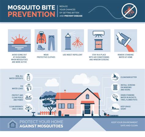 Infografica sulla prevenzione delle punture di zanzara in aree tropicali