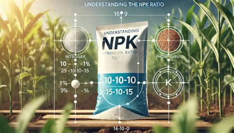 Rappresentazione NPK