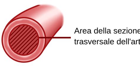 Sezione trasversale della Pluï Rain Ball che mostra il meccanismo del beccuccio