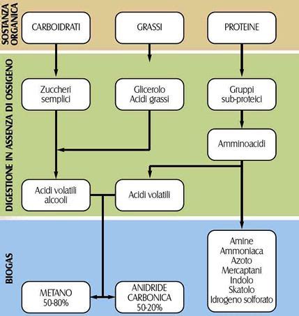 Rappresentazione schematica delle diverse fasi del bando