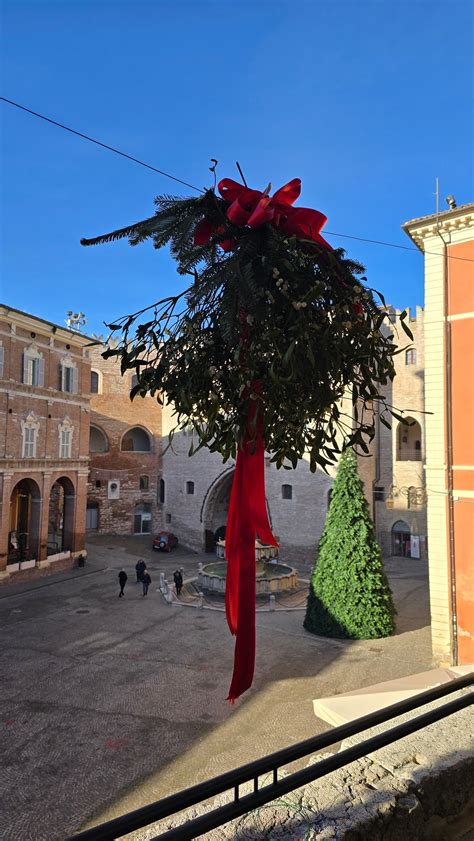 l'orsacchiotto come simbolo di protezione e affetto