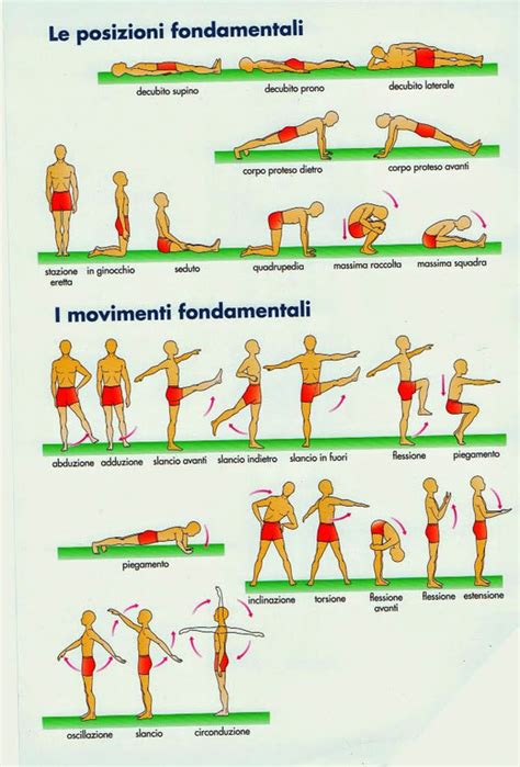 schema dei movimenti di massaggio consigliati per le diverse zone del corpo