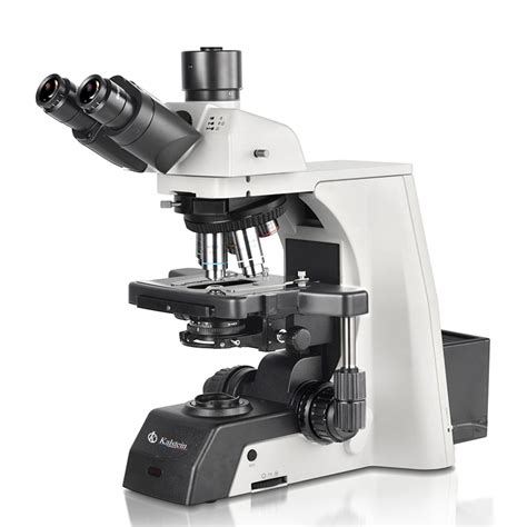 Microscopio da laboratorio con sistema di osservazione embrionale