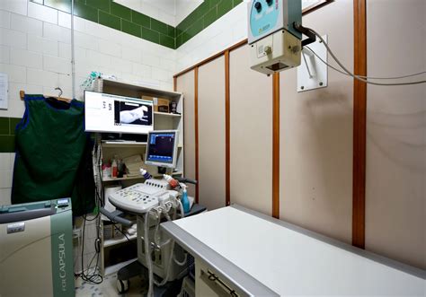 strumentazione chirurgica veterinaria di base