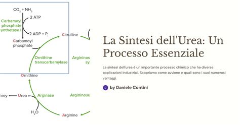 Schema semplificato del processo di produzione dell'urea
