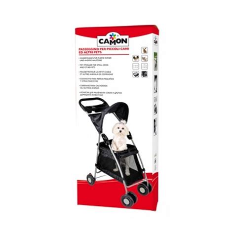 Camon Passeggino Walk N Roll: Panoramica