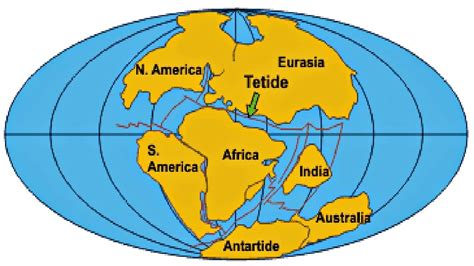 Ricostruzione della Pangea con l'Oceano Tetide