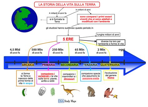 Linea del tempo stilizzata che raffigura tappe della vita umana