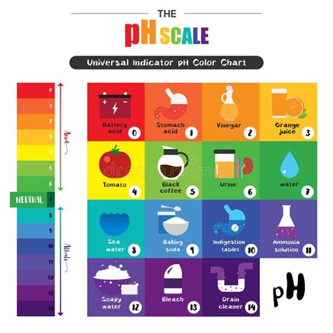 Diagramma dell'equilibrio del pH vaginale