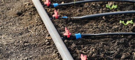 Sistema di irrigazione a goccia