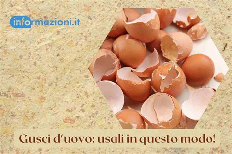 Gusci d'uovo tritati pronti per essere integrati nel terriccio