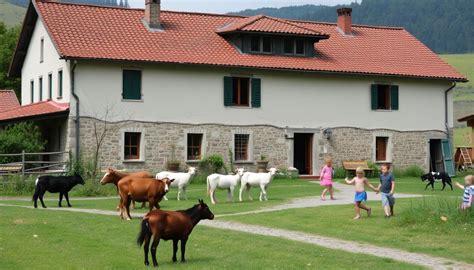 Un pony in un agriturismo con fattoria didattica