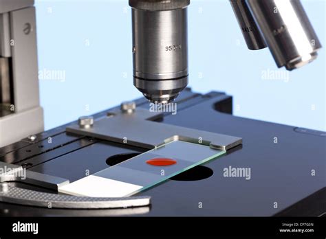 Microscopio con campioni di sangue in un laboratorio