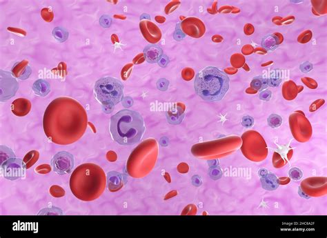 rappresentazione microscopica delle piastrine nel flusso sanguigno