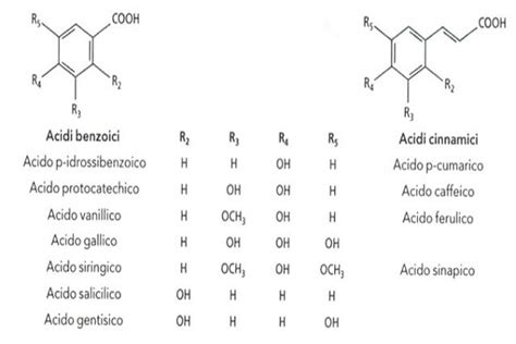 Composizione chimica del guano