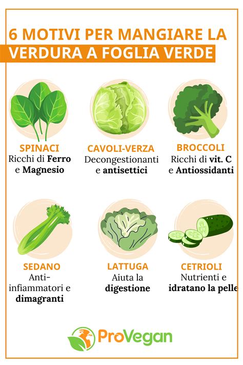 infografica che mostra i passaggi corretti per lavare la verdura a foglia