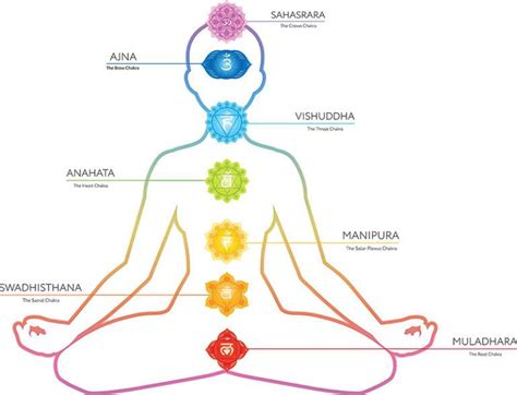 schema del secondo chakra e la connessione con la pietra di luna