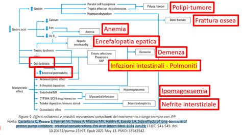 schema riassuntivo dei potenziali effetti avversi degli inibitori nucleosidici