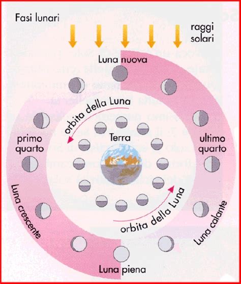 rappresentazione stilizzata delle fasi lunari e del ciclo di fertilità