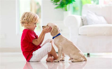 Un bambino che accarezza delicatamente un cane in un ambiente domestico sereno