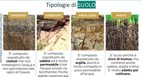 Seme che cade su diversi tipi di terreno
