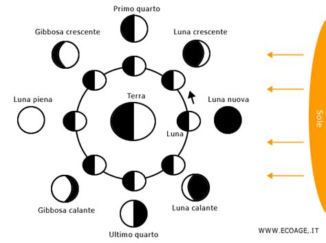 rappresentazione stilizzata delle fasi lunari e zodiaco