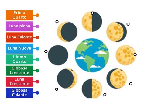 schema grafico sulle fasi lunari e personalità