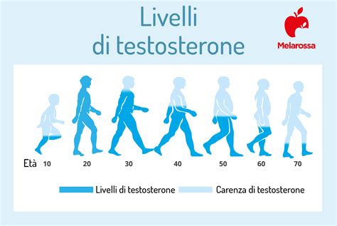grafico che illustra il declino dei livelli di testosterone con l'avanzare dell'età