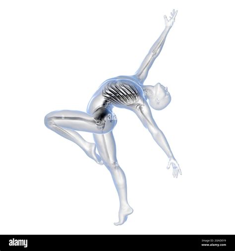 Illustrazione anatomica di un ballerino