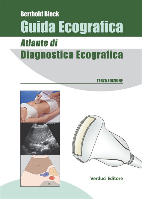 rappresentazione schematica dell'anatomia pelvica femminile e posizione della sonda ecografica