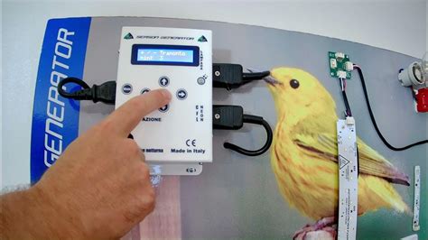 Programmatore luce per allevamento canarini