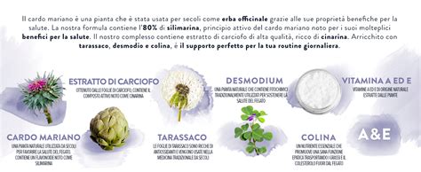 Infografica comparativa tra Cardo Mariano e Carciofo
