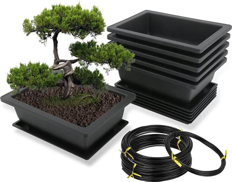Vasi per bonsai con diversi tipi di concime solido