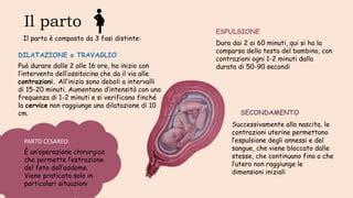 rappresentazione stilizzata del travaglio e della nascita