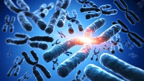 Cromosomi con alterazioni genetiche