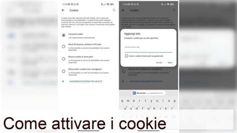 Illustrazione di un browser web con impostazioni dei cookie