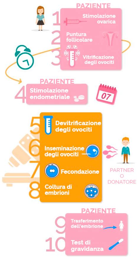 infografica sulle fasi del trattamento di fertilità personalizzato
