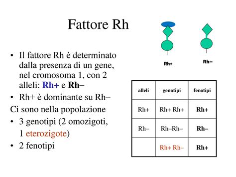 Diagramma dell'ereditarietà del fattore Rh