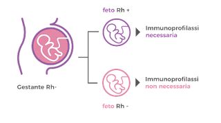 Timeline della somministrazione di immunoprofilassi anti-D in gravidanza