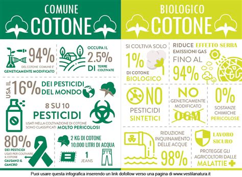 Infografica che confronta l'impatto ambientale del cotone biologico e convenzionale