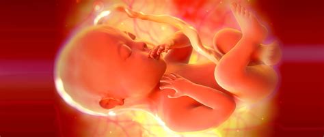 Feto che urina nel liquido amniotico