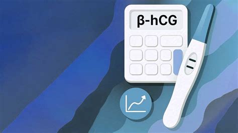 Struttura dell'ormone Beta hCG e suoi siti di legame