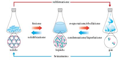 Illustrazione di un'area di aggregazione dei fuchi