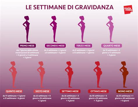 Infografica che spiega i livelli di hCG durante le prime settimane di gravidanza