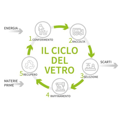 infografica sul ciclo di vita del voto e partecipazione cittadina
