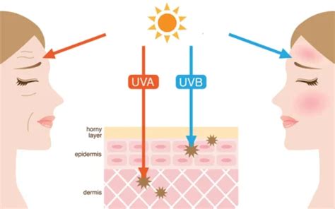 Diagramma che illustra i raggi UVA, UVB, luce blu e infrarossi e i loro effetti sulla pelle