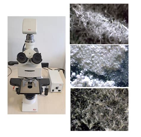 Microscopio per analisi seminologica