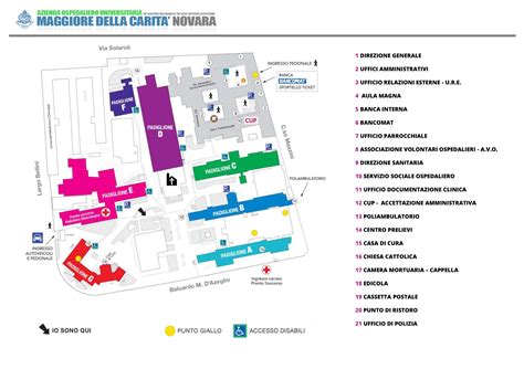 Struttura interna di un centro PMA